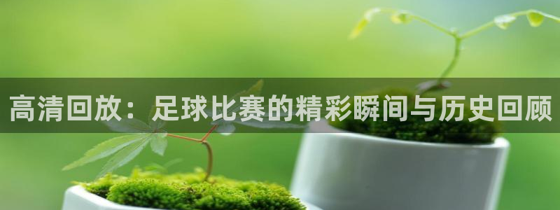 高清回放：足球比赛的精彩瞬间与历史回顾