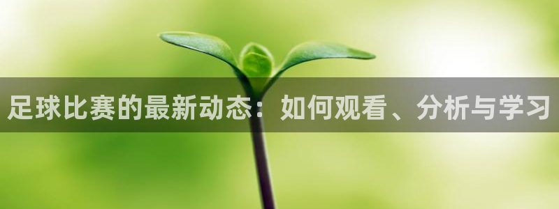 七星足球直播：足球比赛的最新动态：如何观